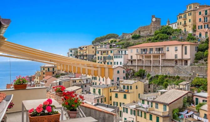 La Torretta di Riomaggiore, Terre Marine