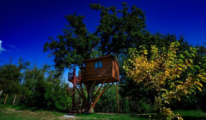 Casa sull'albero Bocchineri