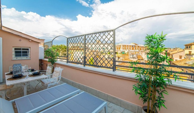 Luxury Top Floor in Trastevere