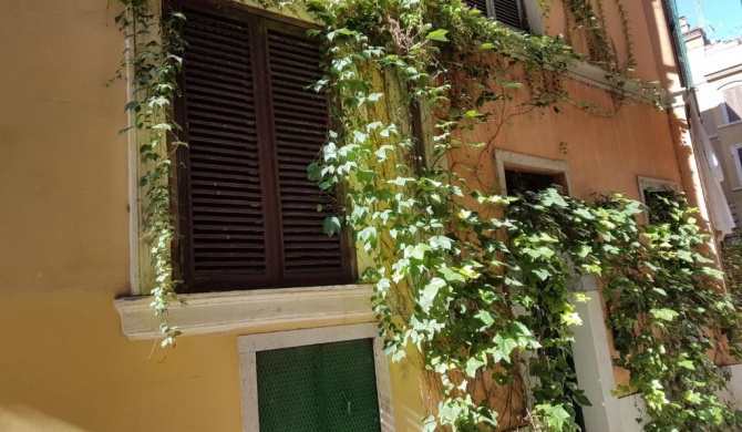 Navona's Flat Alley